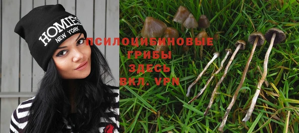 ECSTASY Арсеньев