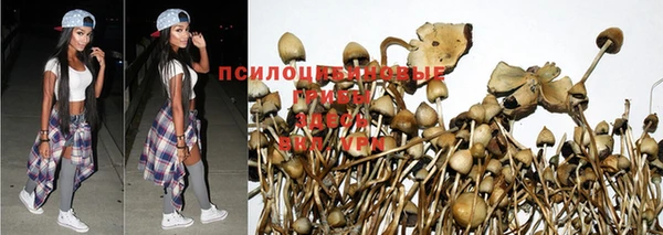 гашик Армянск
