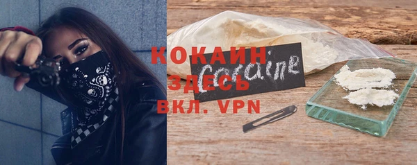 ешки Аркадак
